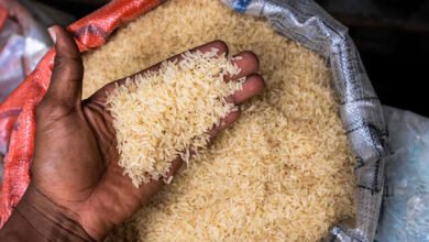 تصدير الأرز