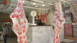 المشروع القومي لإحياء البتلو