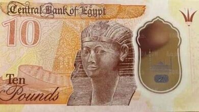 10 جنيه بلاستيك
