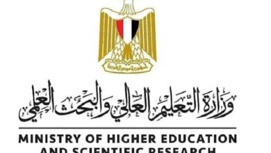 التعليم العالي