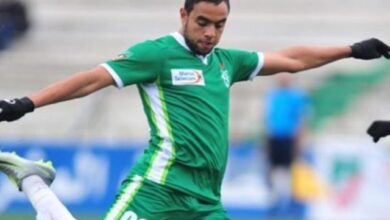 محمد الشيبي