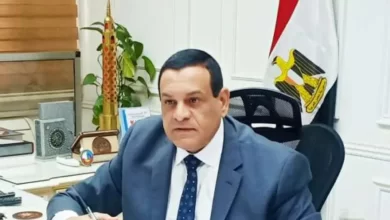 اللواء هشام آمنة وزير التنمية المحلية