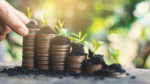 بـ 19.2 مليون جنيه.. مساهم يخفض حصته في رأسمال نهر الخير للتنمية إلى 13.5%