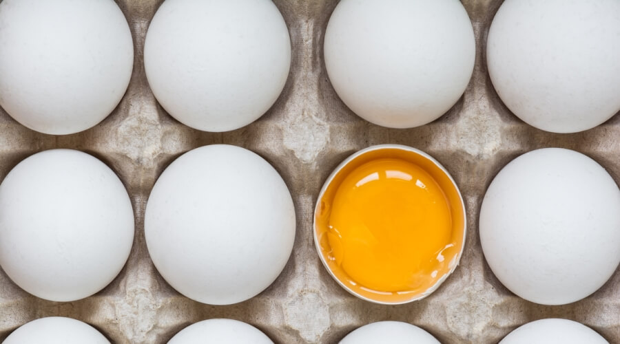 “البورصجية” ترصد حقيقة وجود بيض فاسد في الأسواق بعد أزمة أعلاف الدواجن