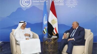 «شكري» يستقبل وزير الصناعة الإماراتي