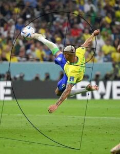   هدف ريتشارليسون أمام صربيا ينال اعجاب عالم فيزياء ..كأس العالم  بقطر2022