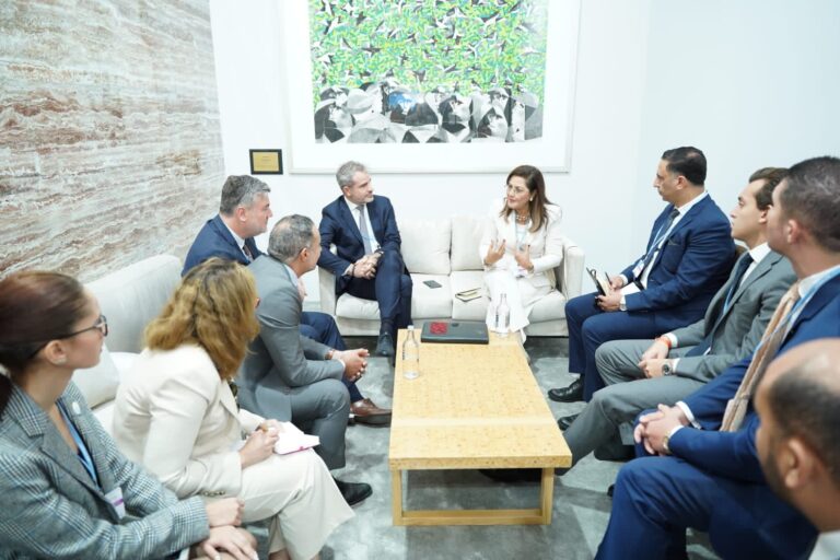 وزيرة التخطيط