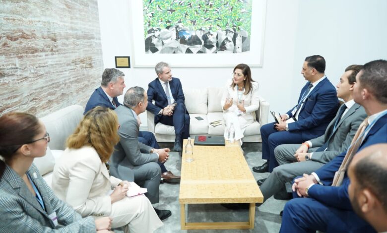 وزيرة التخطيط