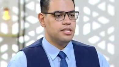 الخبير الاقتصادي محمد نجم