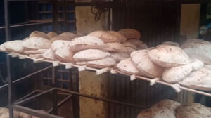 التموين تحرر 23 محضر مخالفات ضد أصحاب المخابز  بالغربية