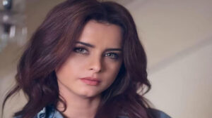 الكشف عن تفاصيل شخصية نور اللبنانية في فيلم “نبيل الجميل”