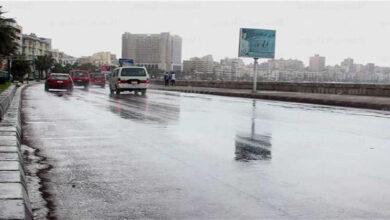 الأرصاد