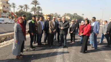 محافظ الجيزة