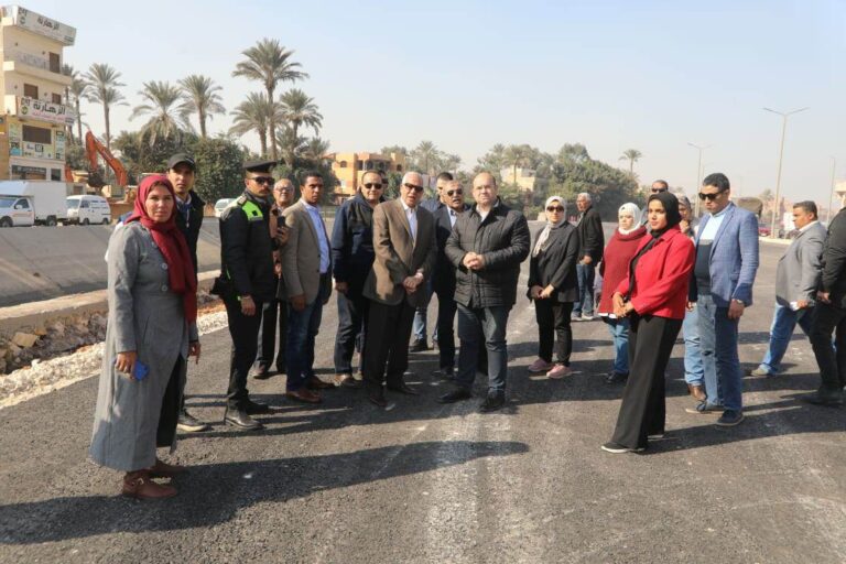 محافظ الجيزة