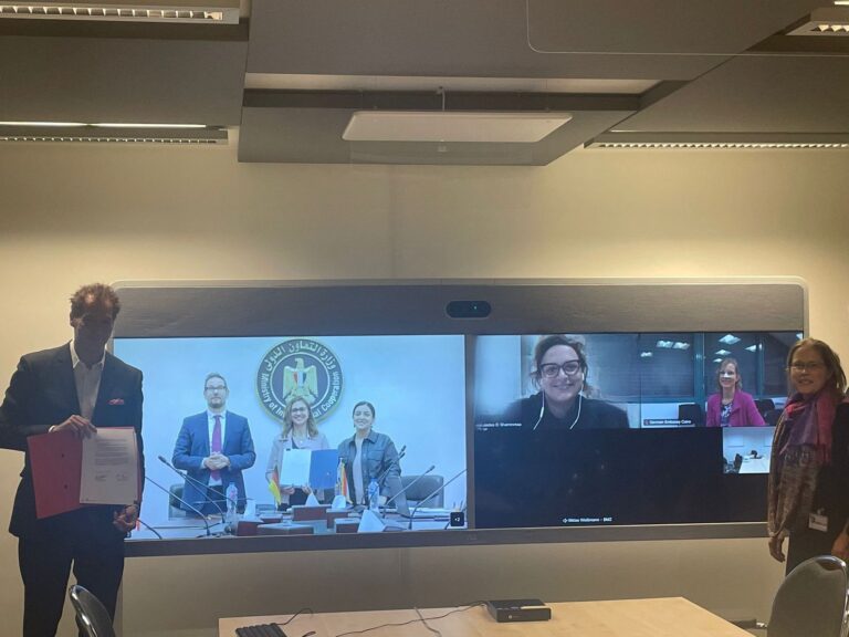 وزارة التعاون الدولي