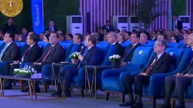 الرئيس عبدالفتاح السيسي