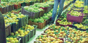 فتح السوق الفلبيني أمام الصادرات الزراعية المصرية لأول مرة