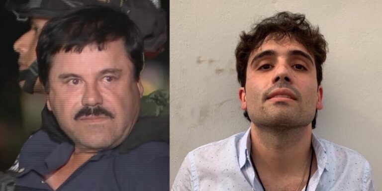 نجل التشابو