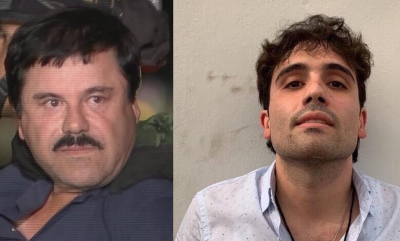 نجل التشابو
