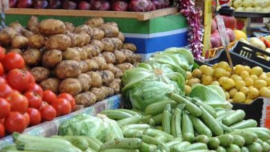 أسعار الخضراوات