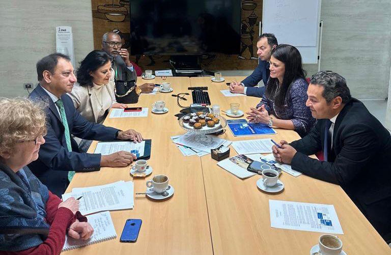 رانيا المشاط