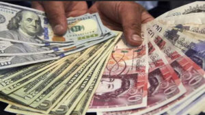 استقرار أسعار العملات في مصر اليوم