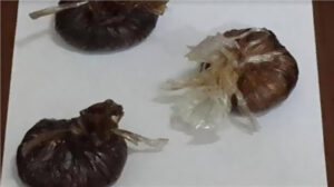 ضبط عاطل وزوجة شقيقه بحوزتهما كيلو ونصف أفيون بالسلام