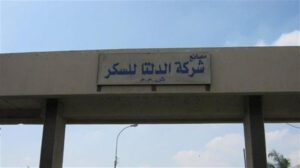 أرباح الدلتا للسكر تقفز إلى 315 مليون جنيه خلال الربع الأول من 2025 والشركة تكشف السبب