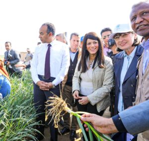 المشاط: الشراكة الاستراتيجية مع الأمم المتحدة تضع المواطن في مقدمة الأولويات