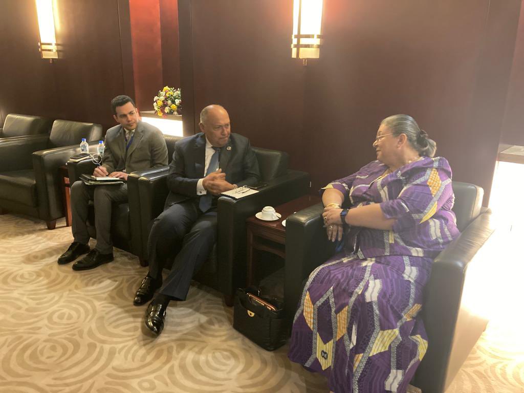 “شكري” يبحث مع “هنا تيتي” حالة السلم والأمن في القرن الإفريقي