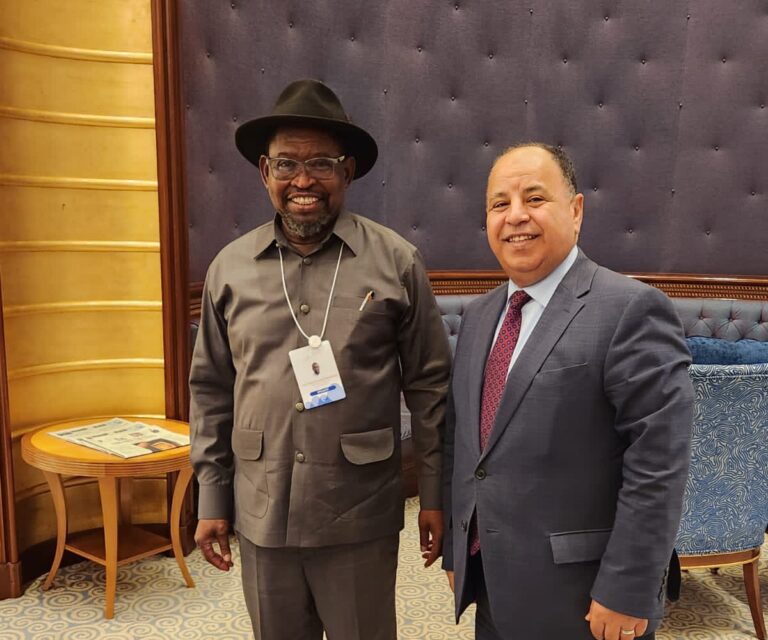 محمد معيط وزير المالية