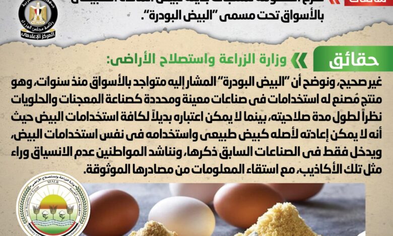 بيض البودرة