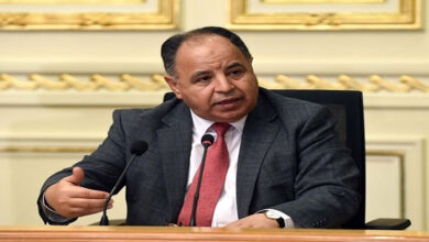 وزير المالية