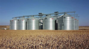 في دائرة الخطر.. دول عربية ترزح تحت وطأة انهيار “اتفاقية الحبوب”