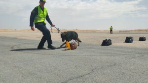 مطار الأقصر الدولي ينجح فى تنفيذ تجربة طوارئ جزئية النطاق لعام 2023