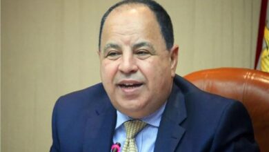 وزير المالية