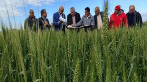 الزراعة: تطوير 226 مركزًا إرشاديًا لتوعية وخدمة المزارعين