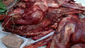 ضبط ٤ طن لحوم ودواجن فاسدة بالجيزة