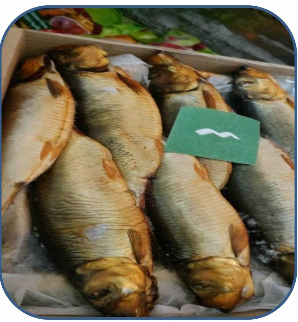 محافظة الجيزة تضبط ٨٣٠ كجم اسماك مملحه ومدخنة فاسدة