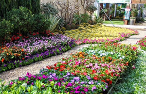 “الزراعة” تستعد لتنظيم الدورة الـ 90 لمعرض زهور الربيع