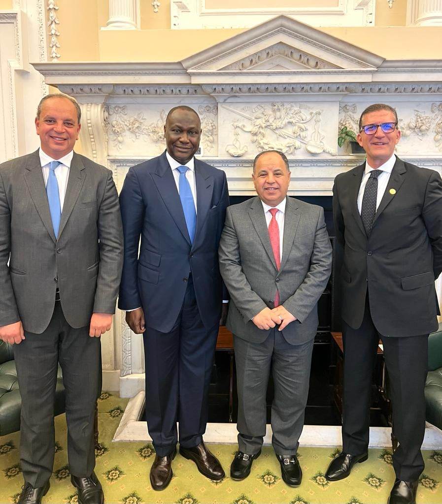 وزير المالية: نتطلع إلى زيادة استثمارات مؤسسة التمويل الأفريقية في مصر بمشروعات البنية التحتية 