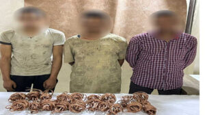 سقوط تشكيل عصابى لسرقة كابلات الكهرباء الخاصة بالمصاعد بالسلام