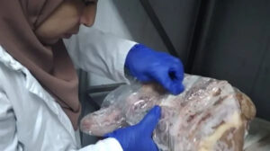 ضبط 255 كيلو لحوم ودواجن وأسماك مجهولة المصدر بالغربية