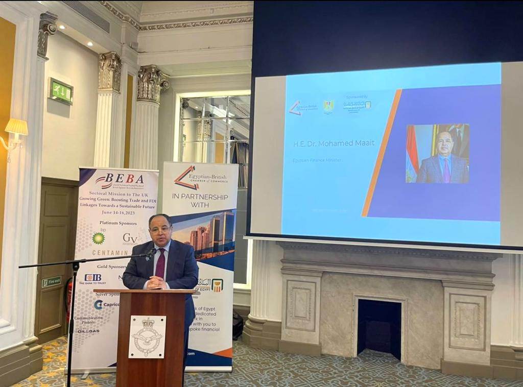 وزير المالية: مصر تحشد كل قدراتها لتحفيز الاستثمار والإنتاج المحلى