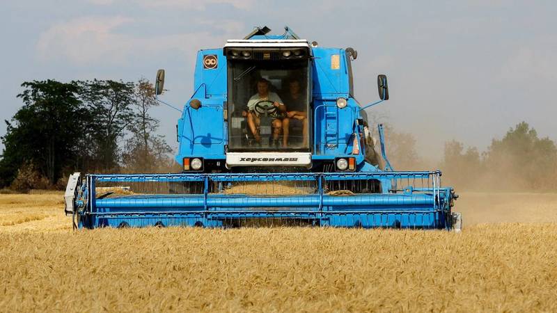 أوكرانيا تبدأ حصاد الحبوب لعام 2023