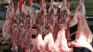 التموين: طرح لحوم ضأن طازجة بـ250 جنيها للكيلو