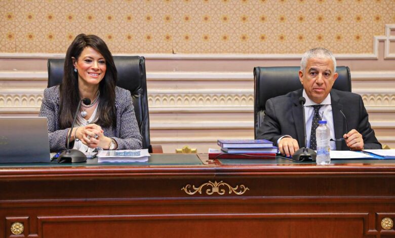 المشاط: محفظة التعاون الإنمائي الجارية تتضمن 169 مشروعا بمنح 3.4 مليار دولار