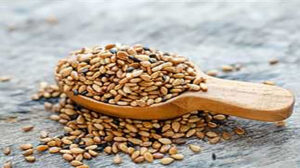 فوائد تناول السمسم