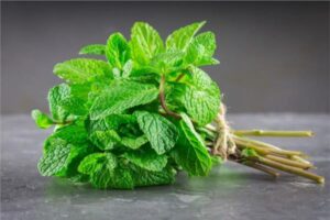 التعبئة والإحصاء تكشف إجمالي صادرات مصر من البذور والثمار الزيتية