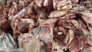 مباحث التموين تضبط لحوم غير صالحة للاستهلاك في كفر الشيخ